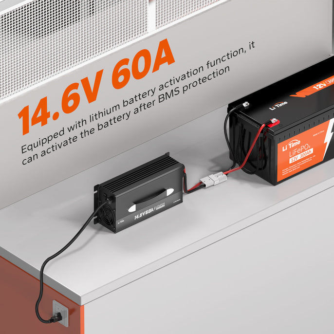 lithium battery activation function of litime 12v 60 amp lifepo4 battery charger