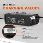 real-time charging data of litime 12v lifepo4 battery charger