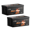 litime 24v 230ah self heating lithium battery 2 packs