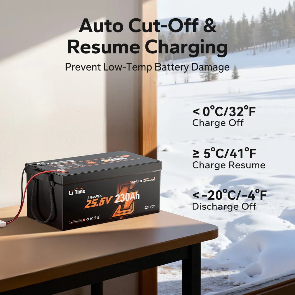 LiTime LiHeat™ Best Dual-Mode Self Heating Lithium Battery for Winter