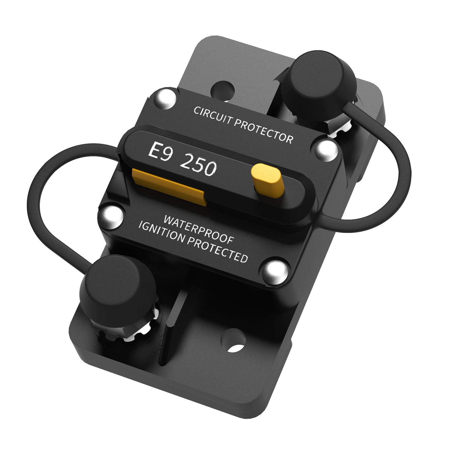 overview of LiTime 250A Switchable Circuit Breaker