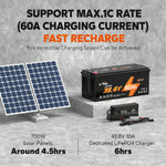 60A charging current
