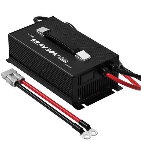 overview of LiTime 48V 30A Lithium LiFePO4 Battery Charger 1000