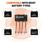 litime battery balacer compatible with different types of battery