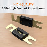 LiTime ANL FUSE 250A 32V 3 PCS