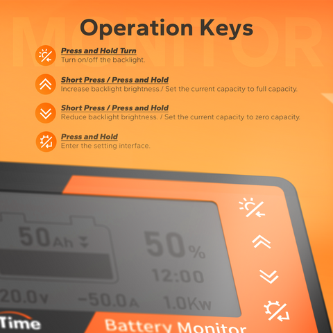 lifepo4 battery monitor