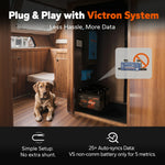 plug and play with victron system using litime 12v 100ah lithium battery