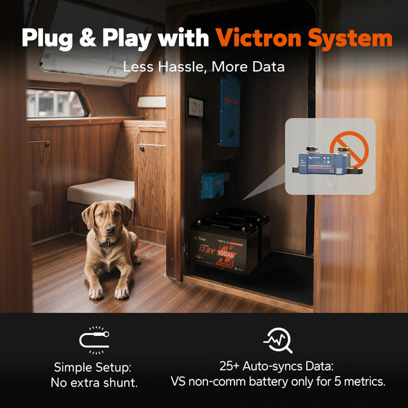 plug and play with victron system using litime 12v 100ah lithium battery