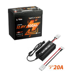LiTime_12V_100Ah_xtra_mini_battery_bundle