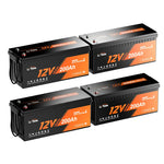 LiTime 12v self heating lithium battery 4 pack