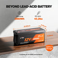 dimensions weight and energy information of litime 12v 200ah self heating battery