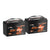 2 pack of litime 12v 100ah battery