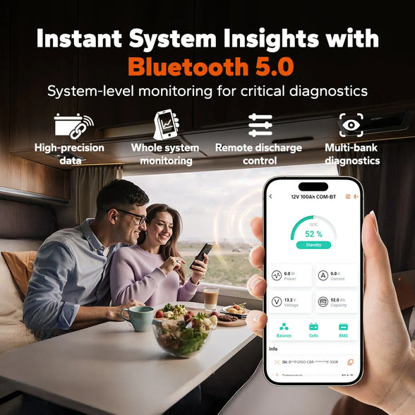 clear system insight with bluetooth 5.0 of litime 12v 100ah lithium battery