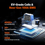 ev-grade cells & new-gen 100a bms of litime 12v 100ah lifepo4 battery