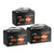 3 pack of litime 12v 100ah battery