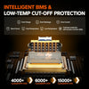 advanced bms & low-temp cut-off protection of litime 12v 200ah lithium battery