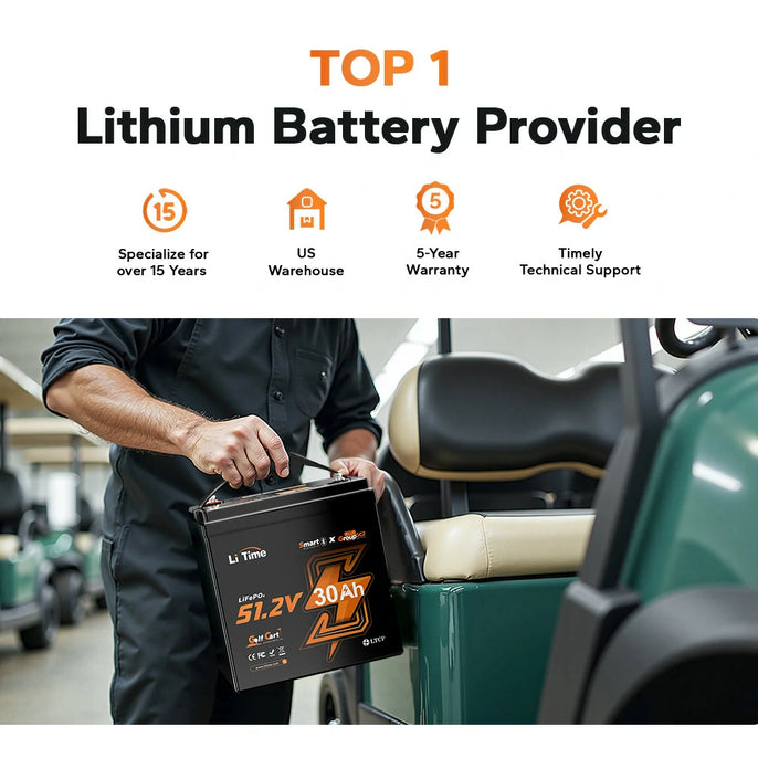 great brand support of litime lithium battery