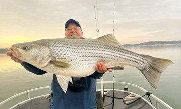 A smiling fisherman on a boat, holding a very large striped bass