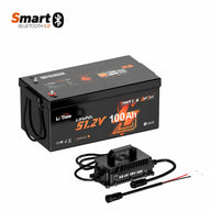 LiTime 48V 100Ah LiFePO4 Lithium Battery – Golf Cart / Lawn Mower / Off-Grid Energy Storage | Smart Bluetooth BMS