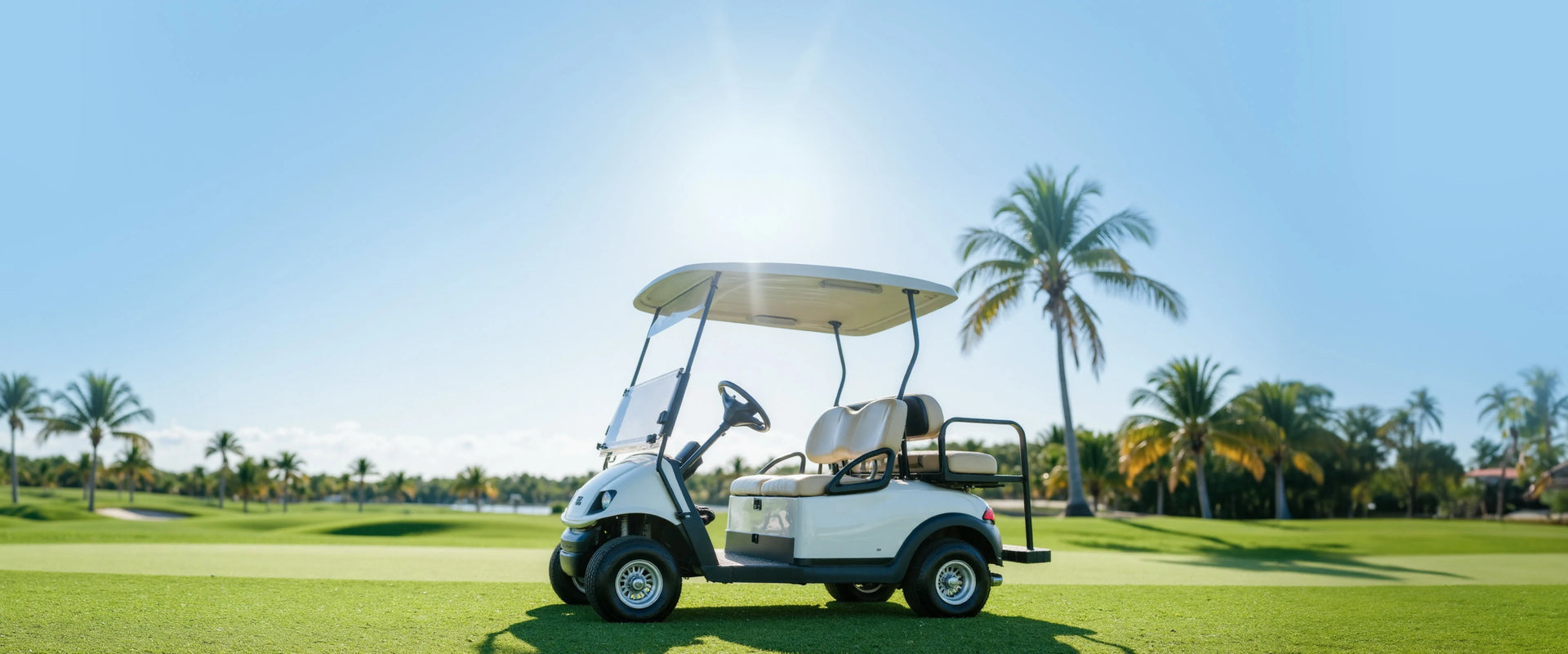 banner of litime lithium golf cart batteries