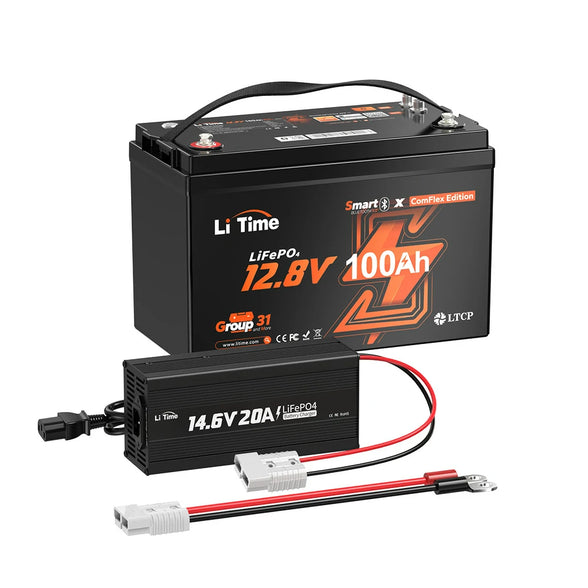 litime 12v 100ah lithium battery with 12v 20a lifepo4 battery charger