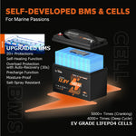 bms protection and cells information of litime 140ah dual purpose lithium marine battery