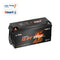 overview of litime 12v 230ah lithium battery