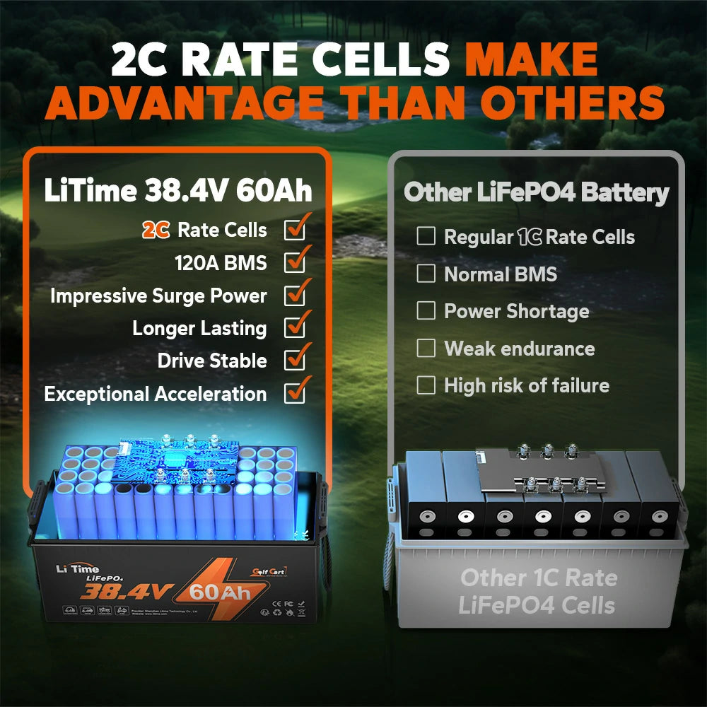 2c rate lifepo4 cells of litime lithium battery